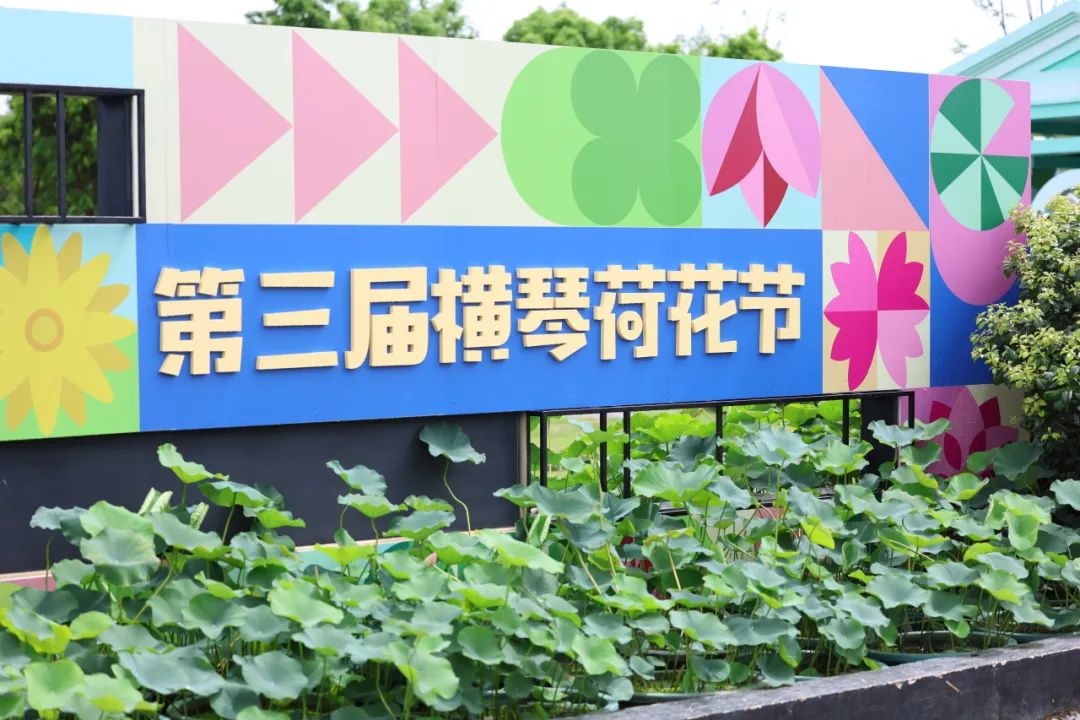 1752480536170950.jpg 2.jpg